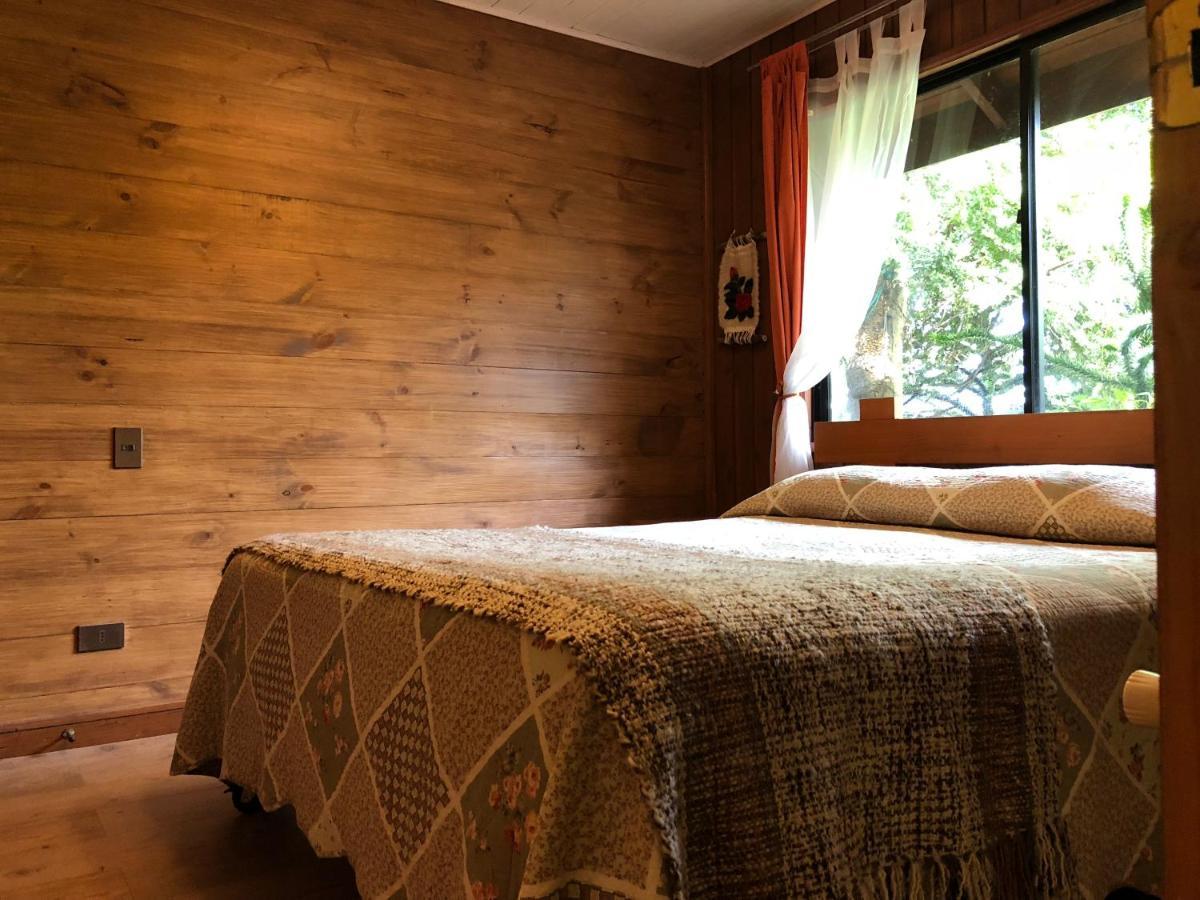 Hostal El Nogal Pucón Zewnętrze zdjęcie