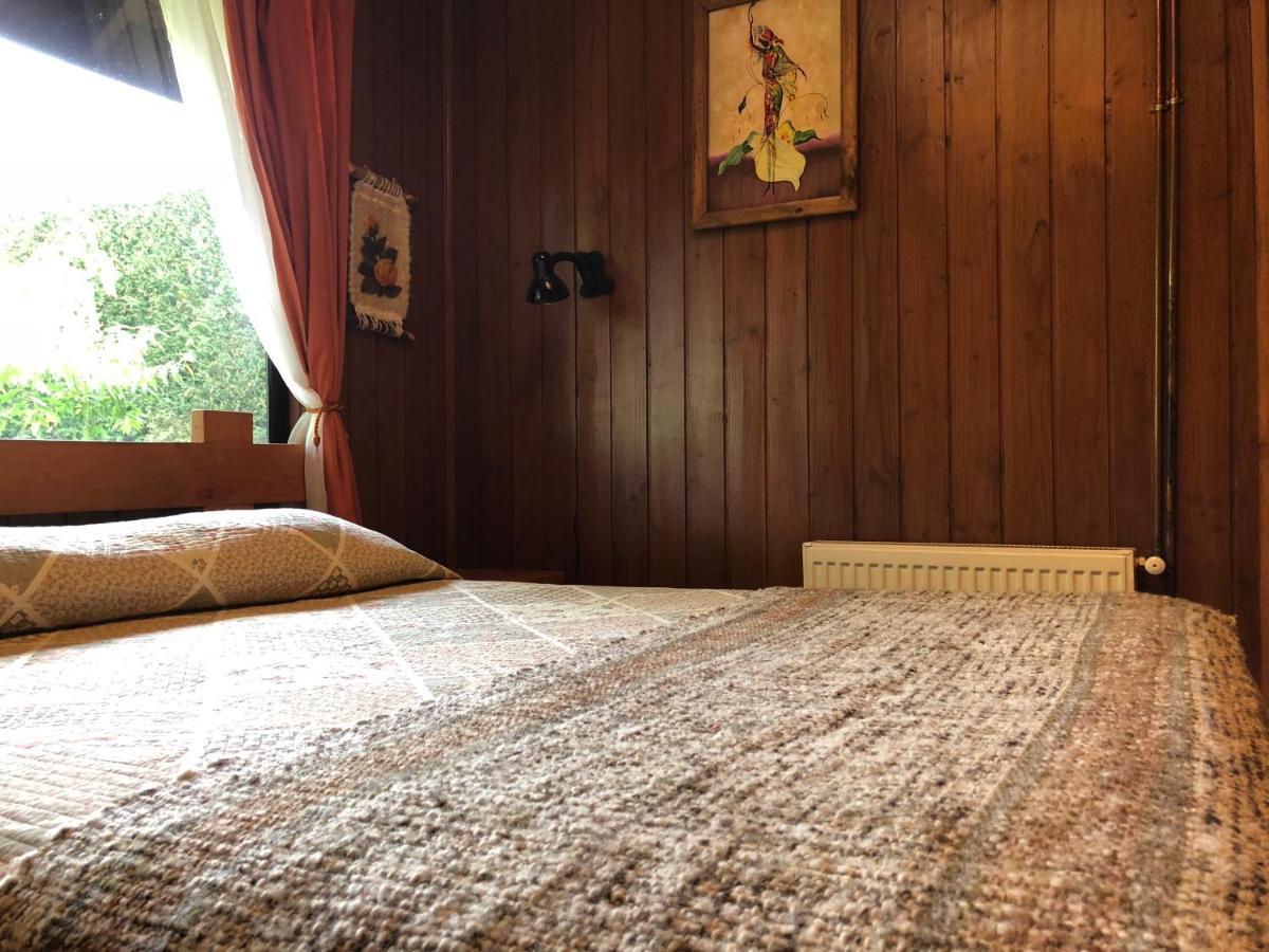 Hostal El Nogal Pucón Zewnętrze zdjęcie
