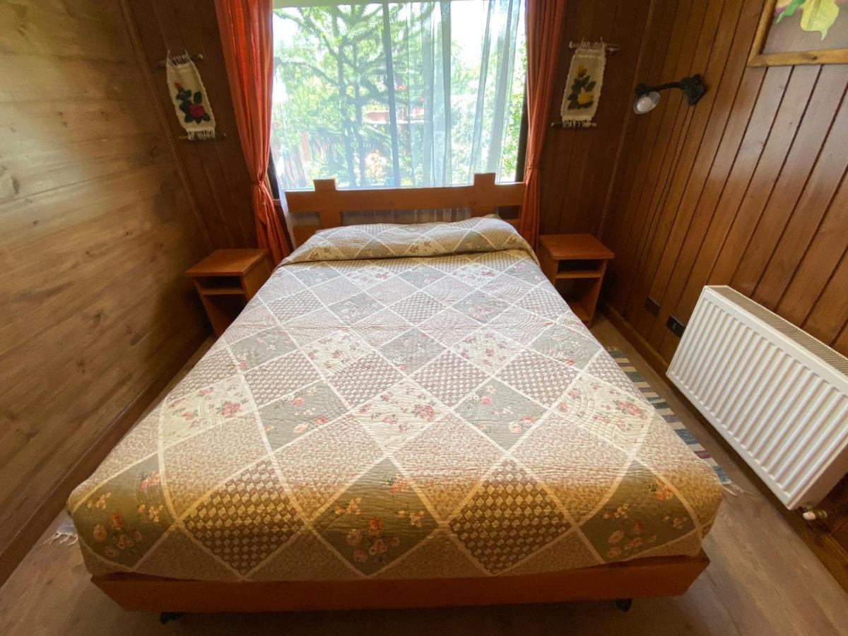 Hostal El Nogal Pucón Zewnętrze zdjęcie