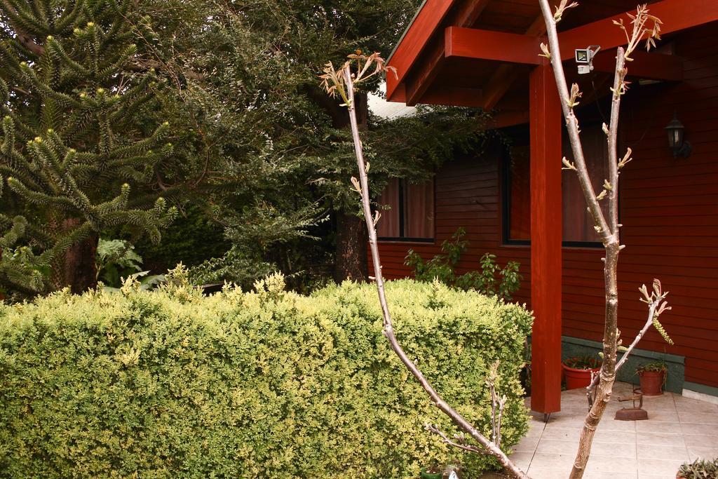 Hostal El Nogal Pucón Zewnętrze zdjęcie